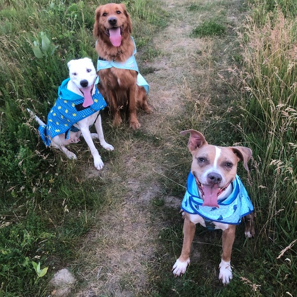 Meet your Posher, Christian - Picture 1 of 1